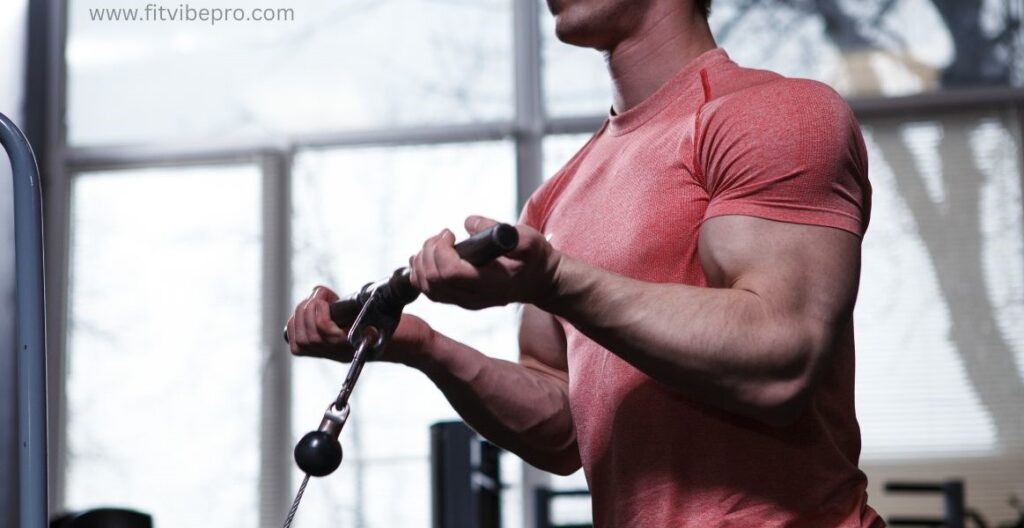 Cable bicep curls image